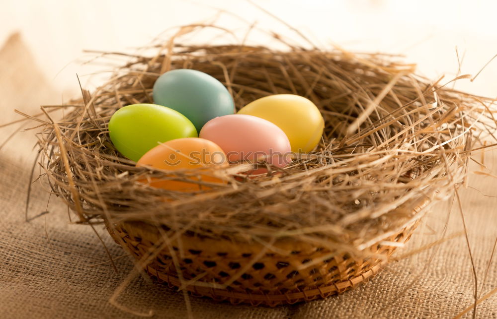 Similar – Image, Stock Photo Easter eggs in a basket on wooden background