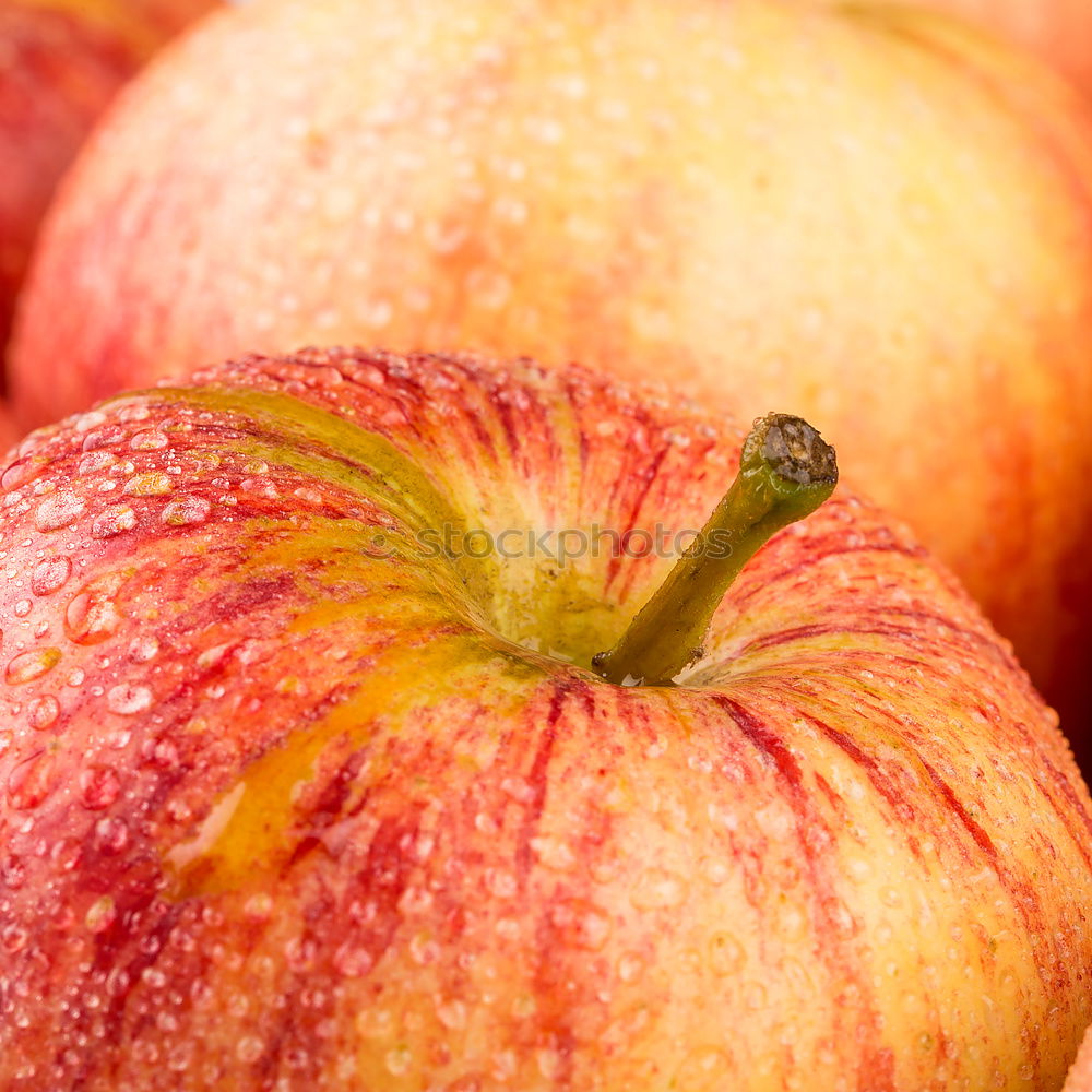 Similar – Apple on a branch Fruit