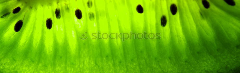 Similar – Foto Bild plastewiese 2 Wiese weich
