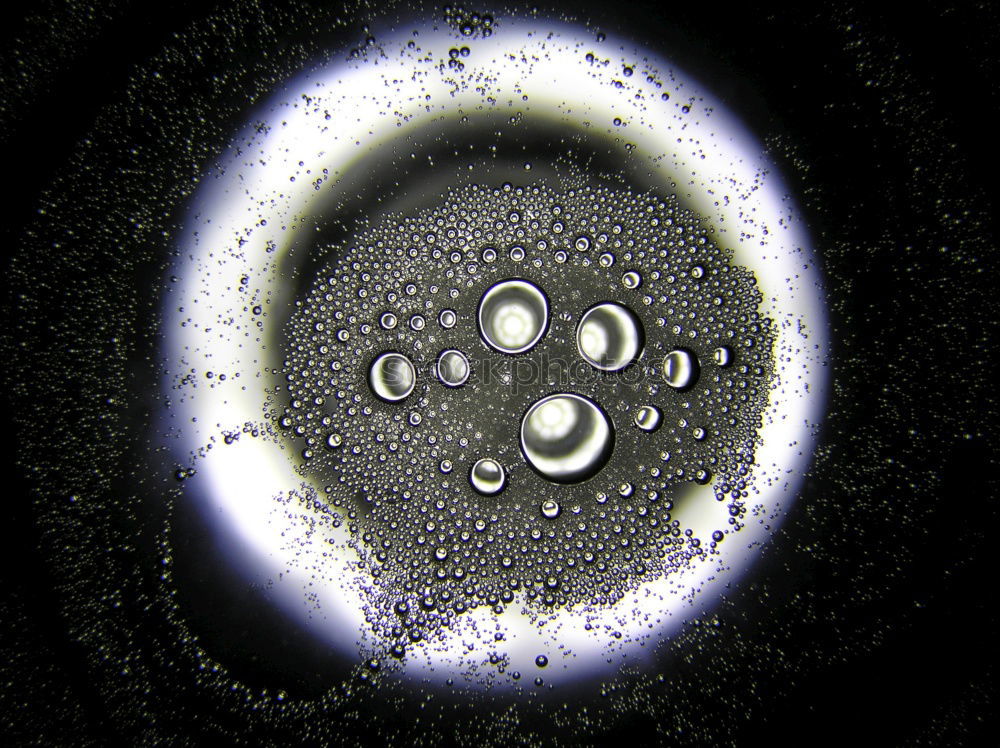 Similar – [M]Urmel auf dem Eis[en]