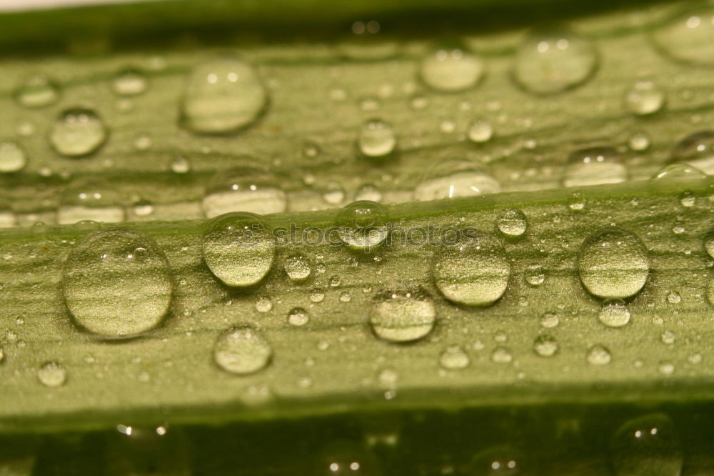 Similar – rainy season Balcony