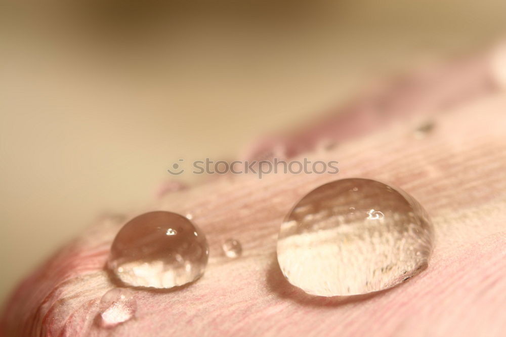 Similar – constructivism Mussel Hand