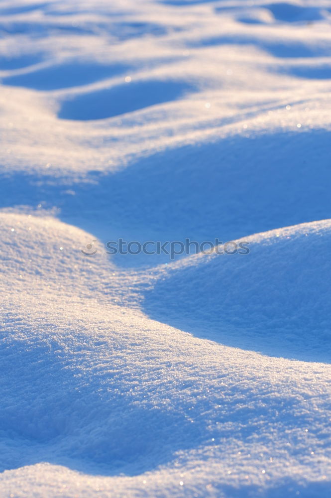 Similar – ausgebüxt Winter gefroren