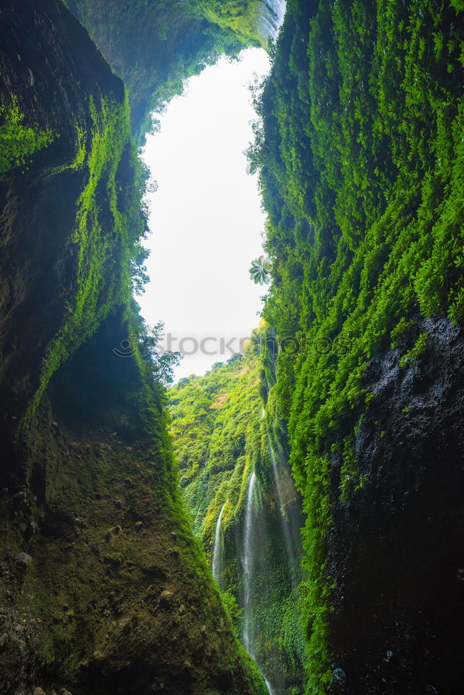 Similar – Image, Stock Photo Cave covered with green moss