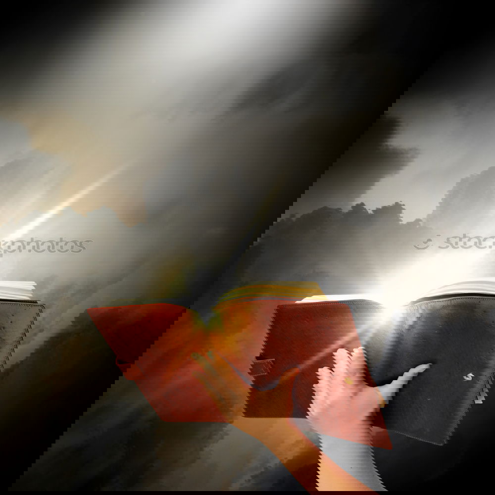 Similar – Image, Stock Photo A hand that holds a Bible in the air