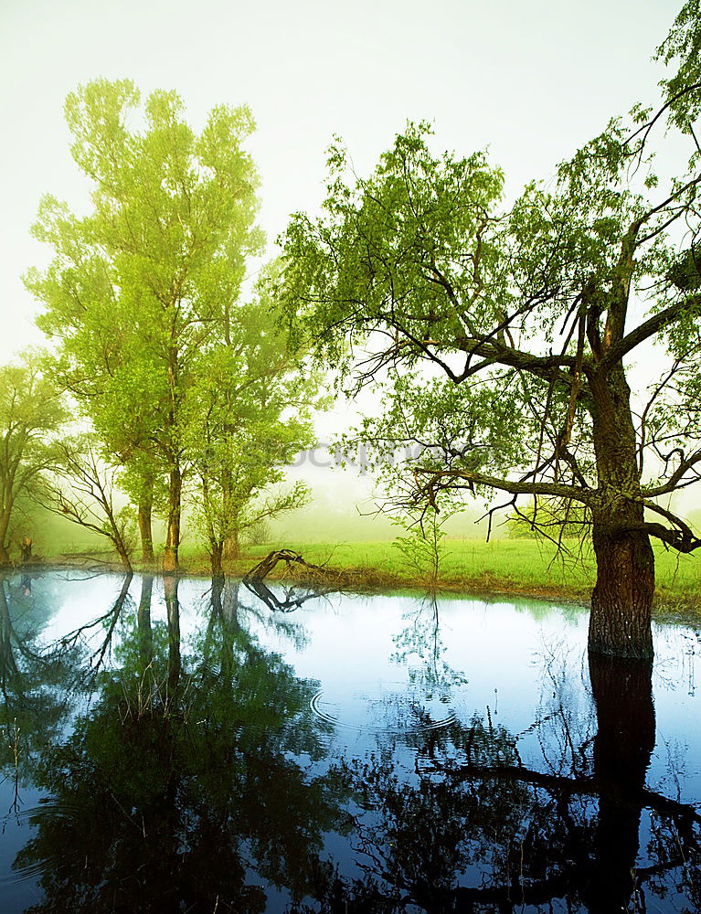 Similar – Hangman See Mummelsee