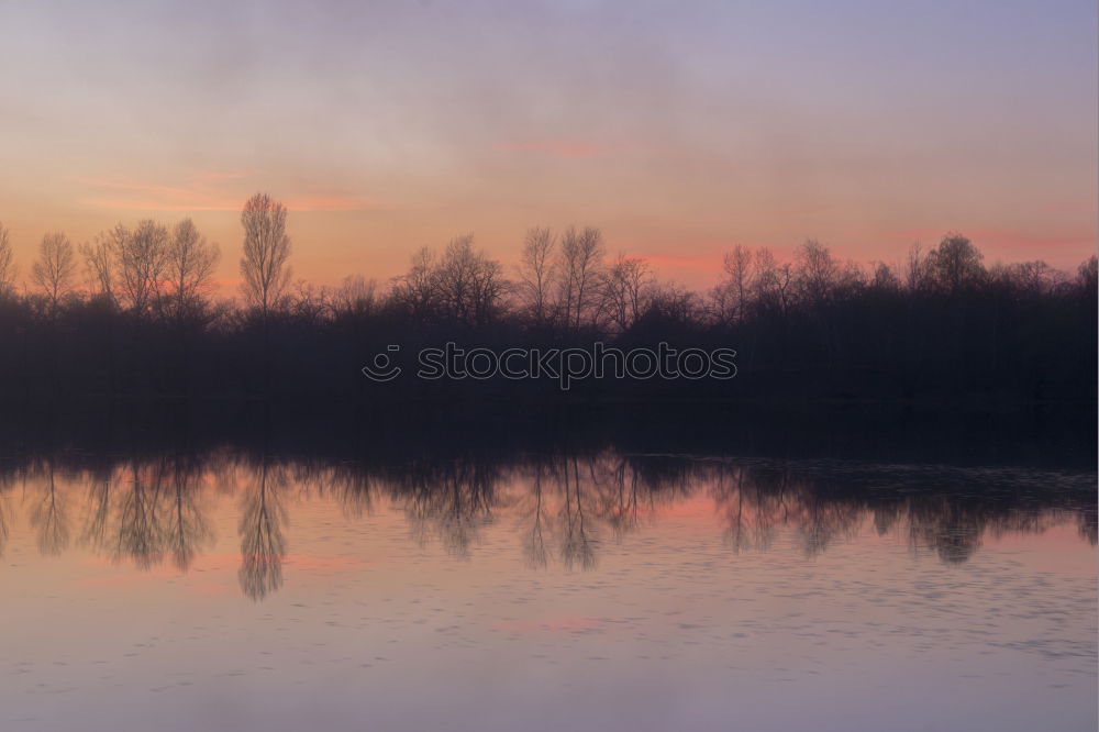 Similar – Treptower Park Nature