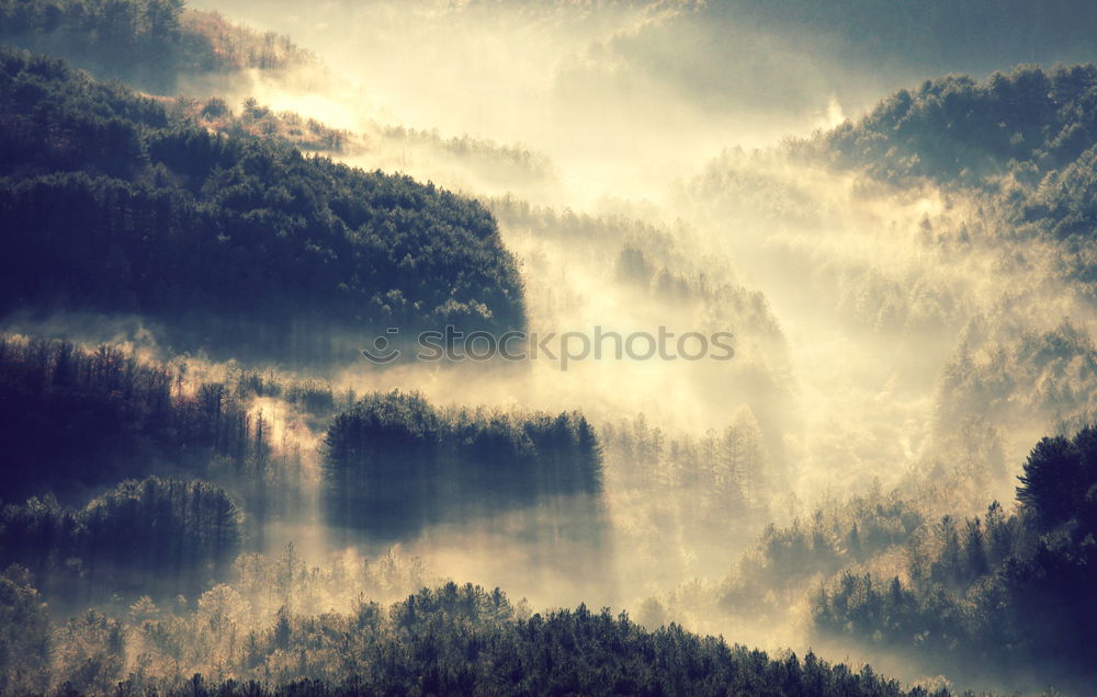 Similar – Image, Stock Photo Green mountains in sunlight and lake