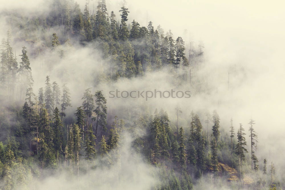 Similar – Landscape with snow on the Brocken in the Harz Mountains