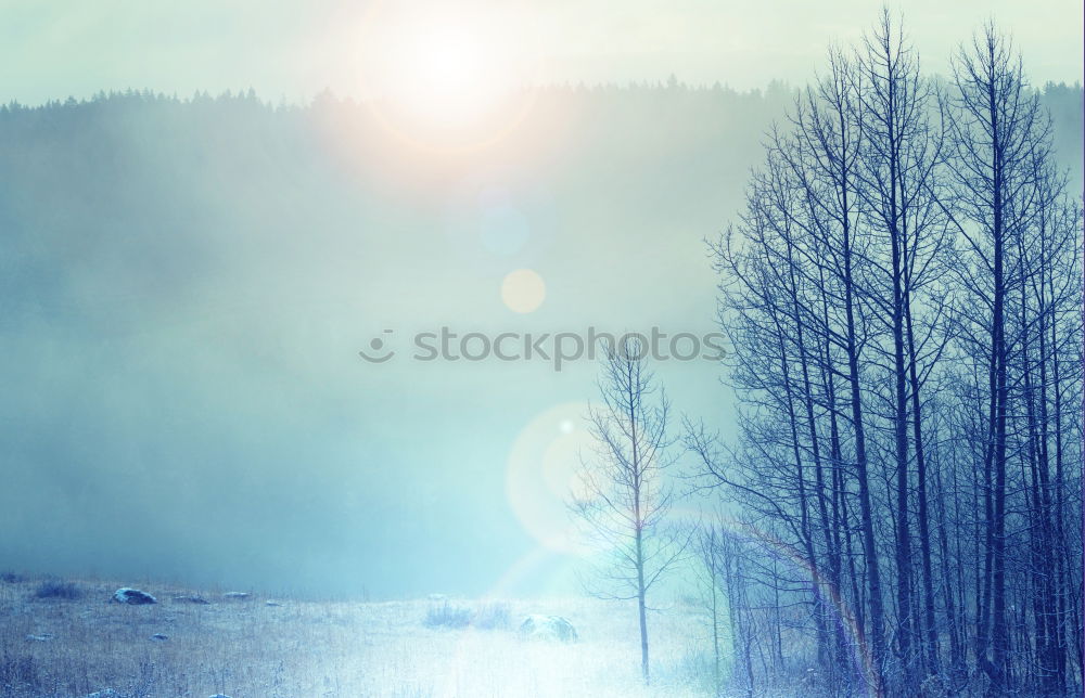 Similar – Image, Stock Photo winter atmosphere