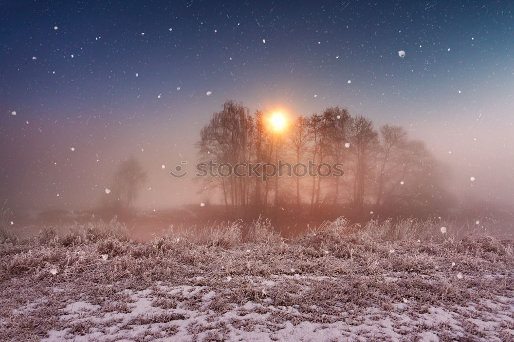 Image, Stock Photo winter atmosphere