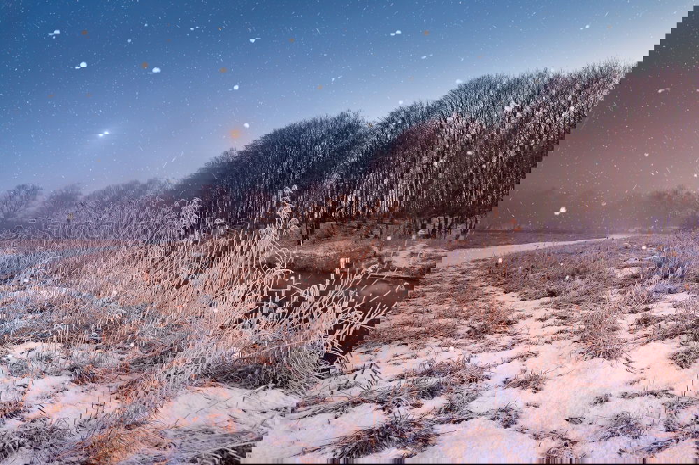 Similar – Image, Stock Photo Winter misty dawn on the river. Snowflakes, snowfall