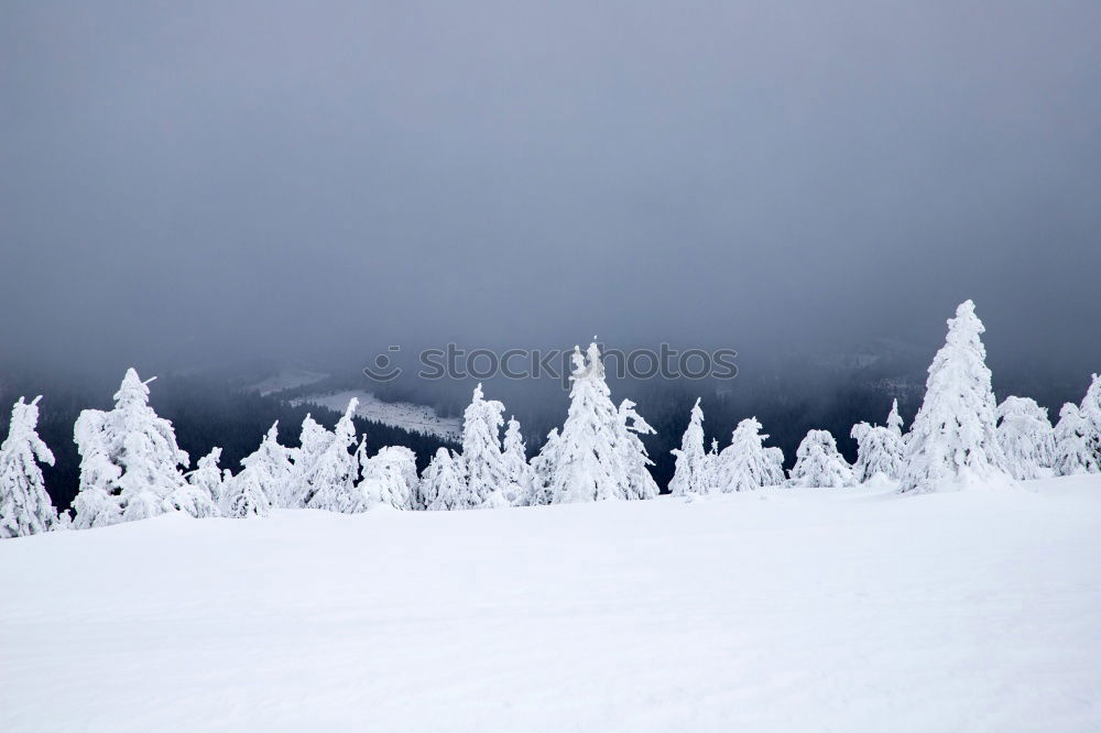 Similar – Image, Stock Photo winter sun Skiing