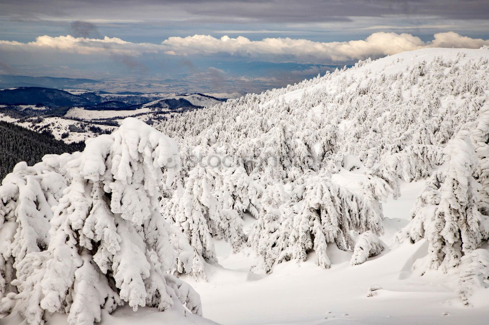 Similar – Image, Stock Photo Winter in the Bavarian Forest