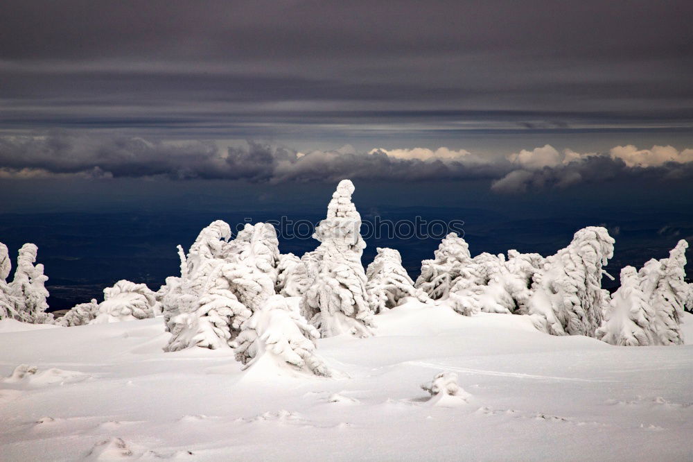 Similar – Foto Bild Schlumpfhausen Winterwald