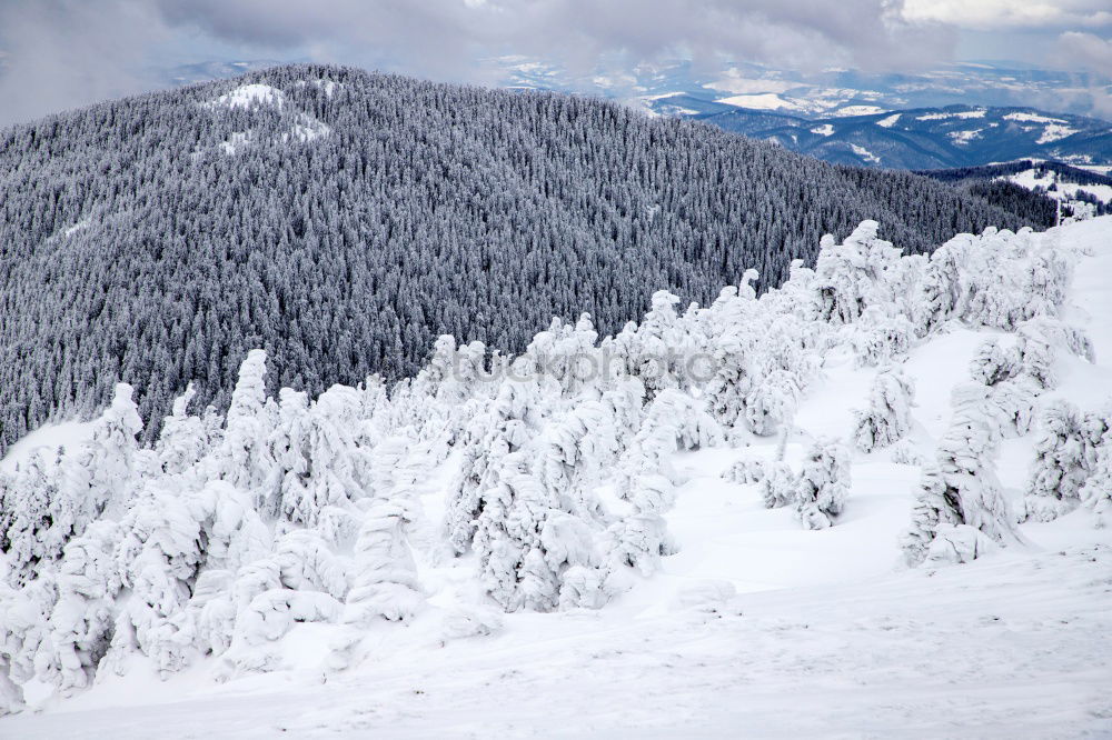 Similar – Image, Stock Photo Winter in the Bavarian Forest