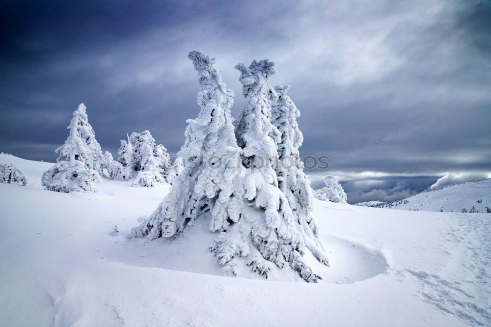 Image, Stock Photo winter sun Skiing