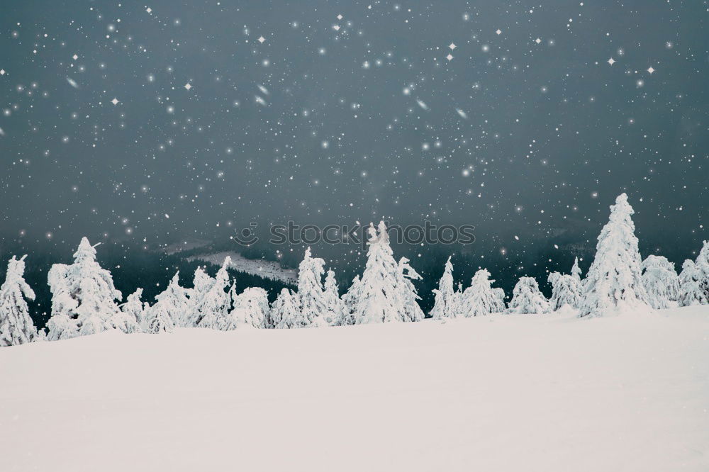 Similar – Foto Bild Schneewipfel und die sieben Zweige