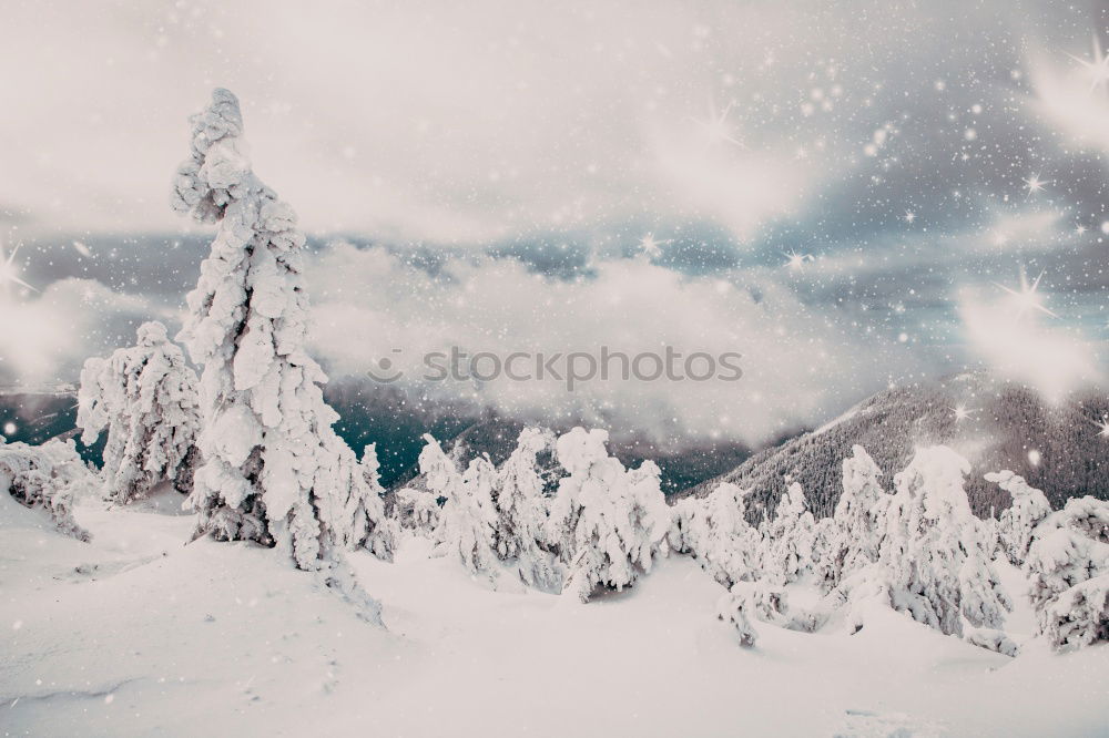 Similar – Image, Stock Photo Merry Christmas! Wintry fir trees rise into a sky with clouds. Right in the middle is a blue hole