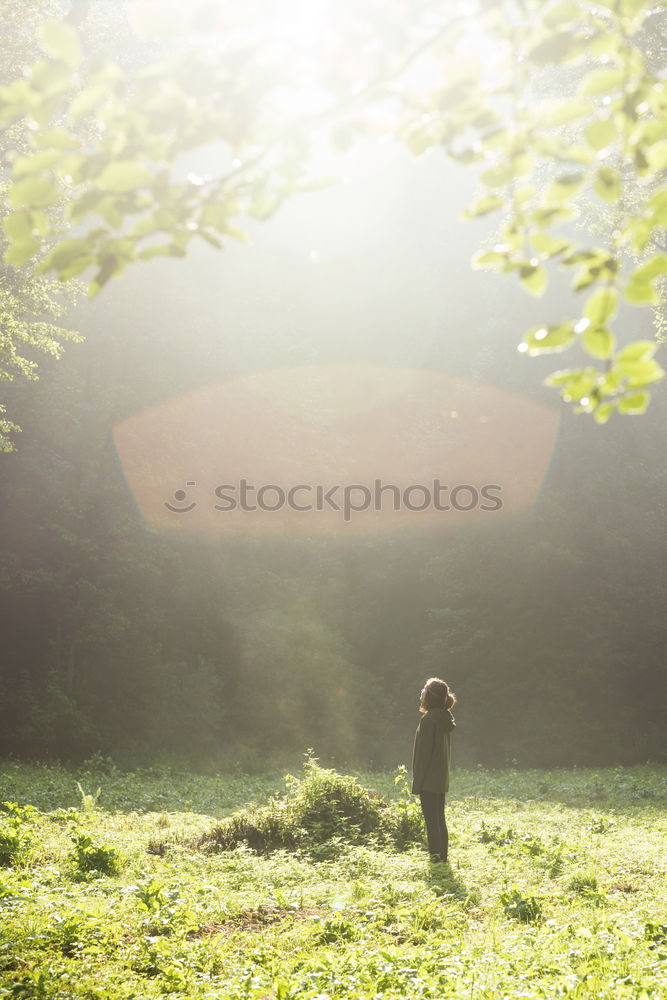 Similar – Image, Stock Photo close to Dessau