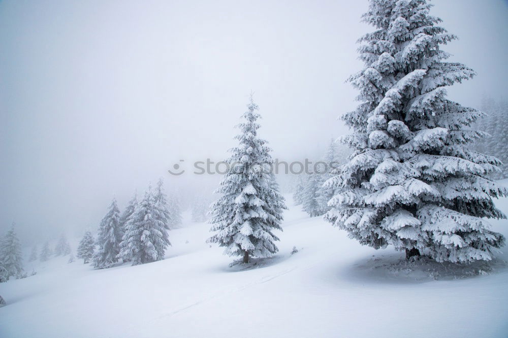 Similar – weiße Weihnachten für euch alle !!!!