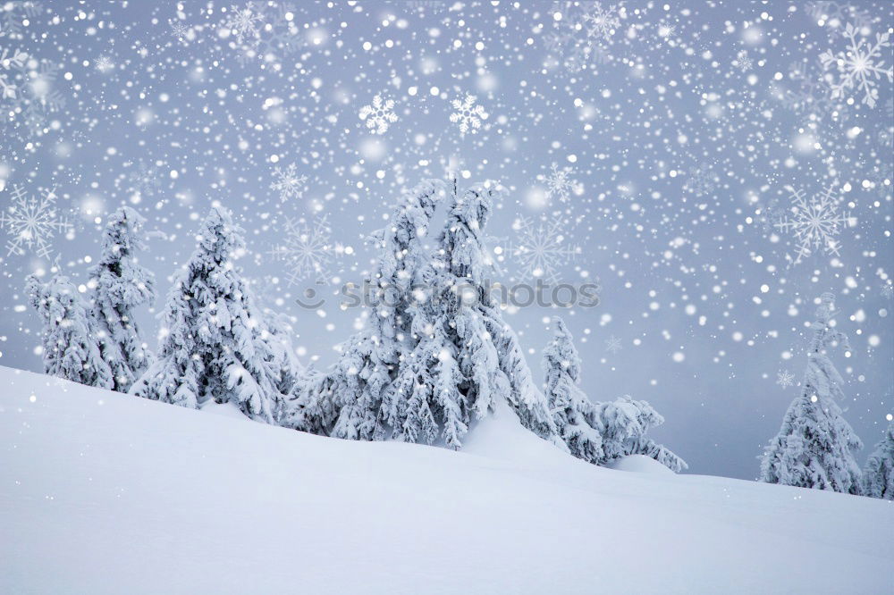 Similar – Foto Bild Nachts im Schnee #02