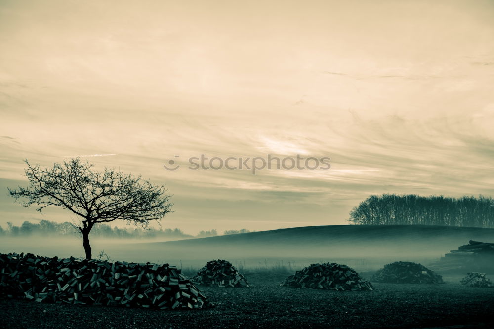 Similar – gloomy country Nature