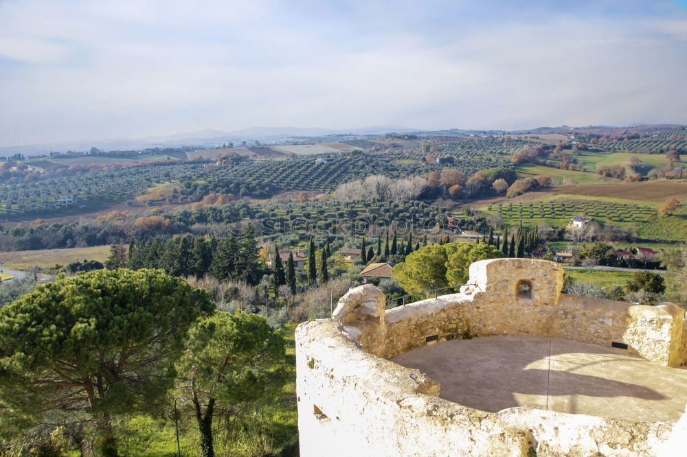 Church in wine Environment