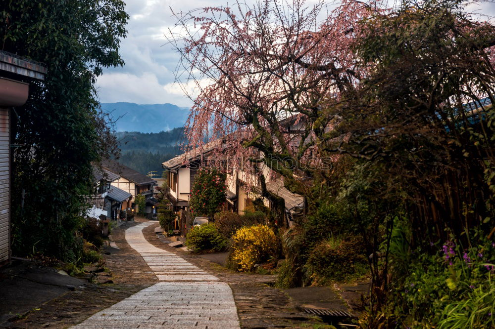 Similar – Image, Stock Photo Road between village houses