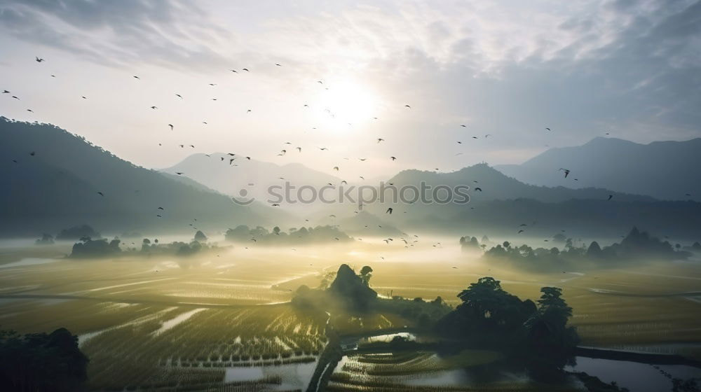 Similar – Image, Stock Photo Soaring at Hornberg 1