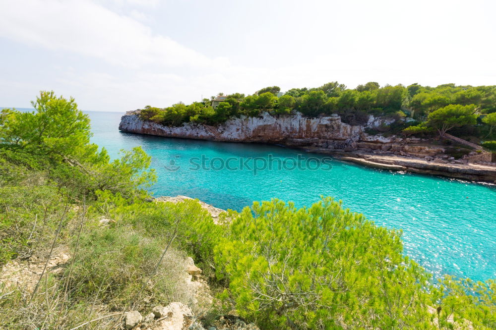 Similar – Image, Stock Photo Cala Pi