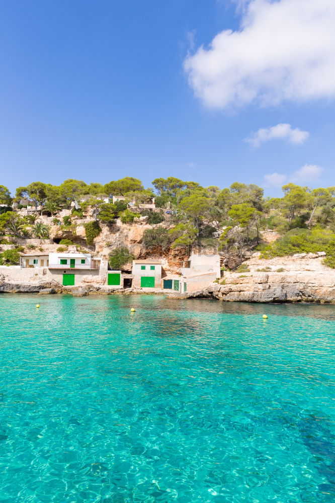 Similar – Image, Stock Photo Mallorca from its beautiful side 63