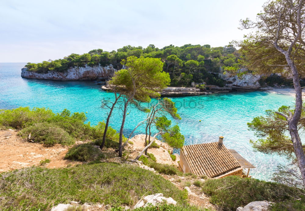 Similar – Image, Stock Photo Mallorca from its beautiful side 63