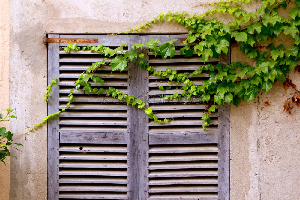 Similar – Small stool with blanket, standing in front of blue door, in the medina.