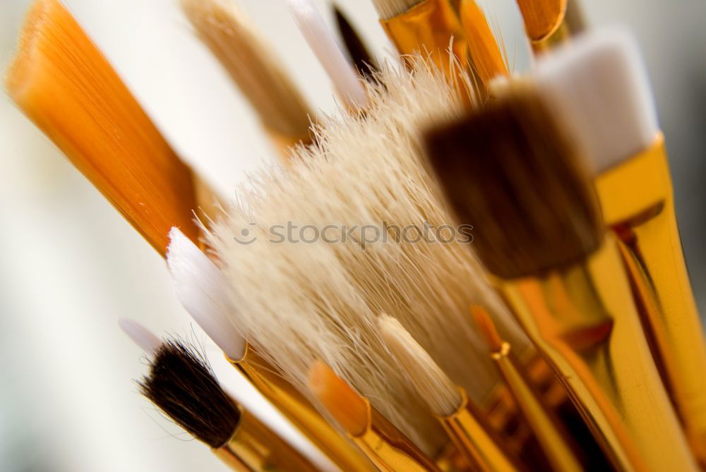 Similar – Image, Stock Photo brush Paintbrush