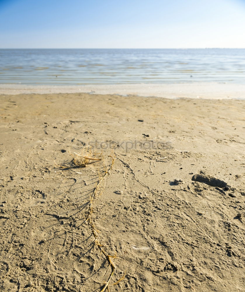 Similar – Image, Stock Photo plastic waste Beach Ocean