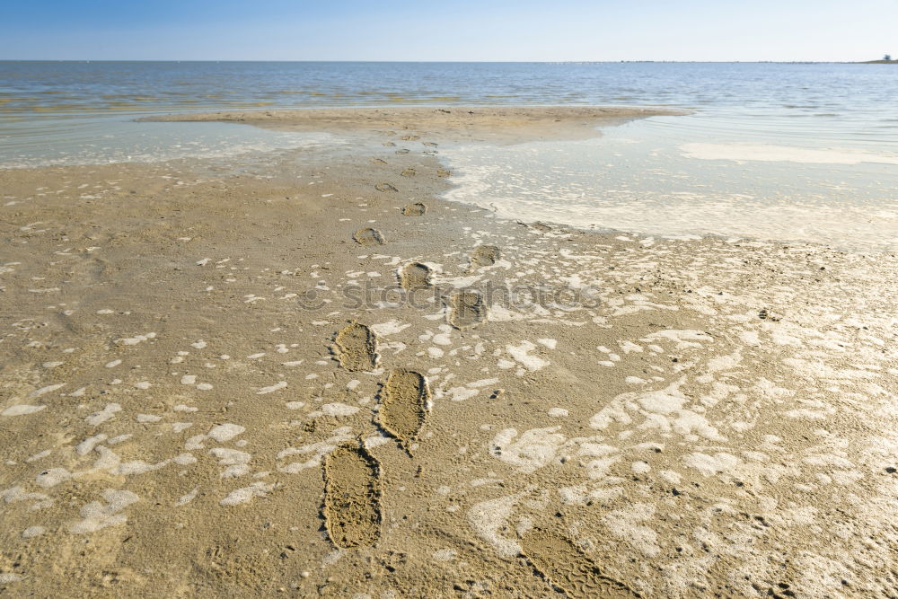 Similar – Emmerlev Beach Ocean