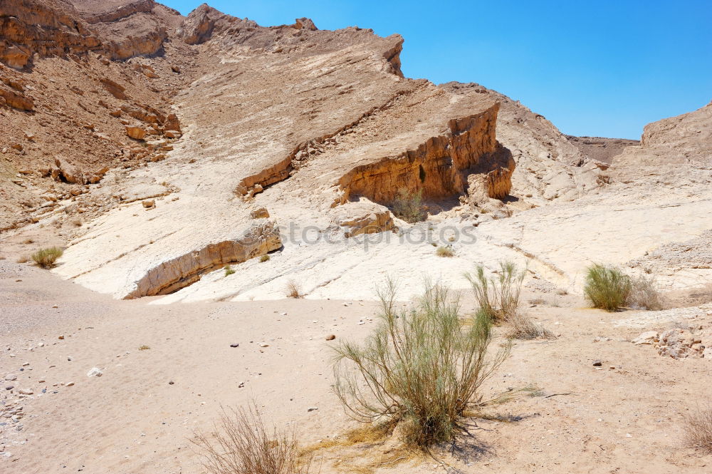 Similar – Image, Stock Photo Desert Ride III