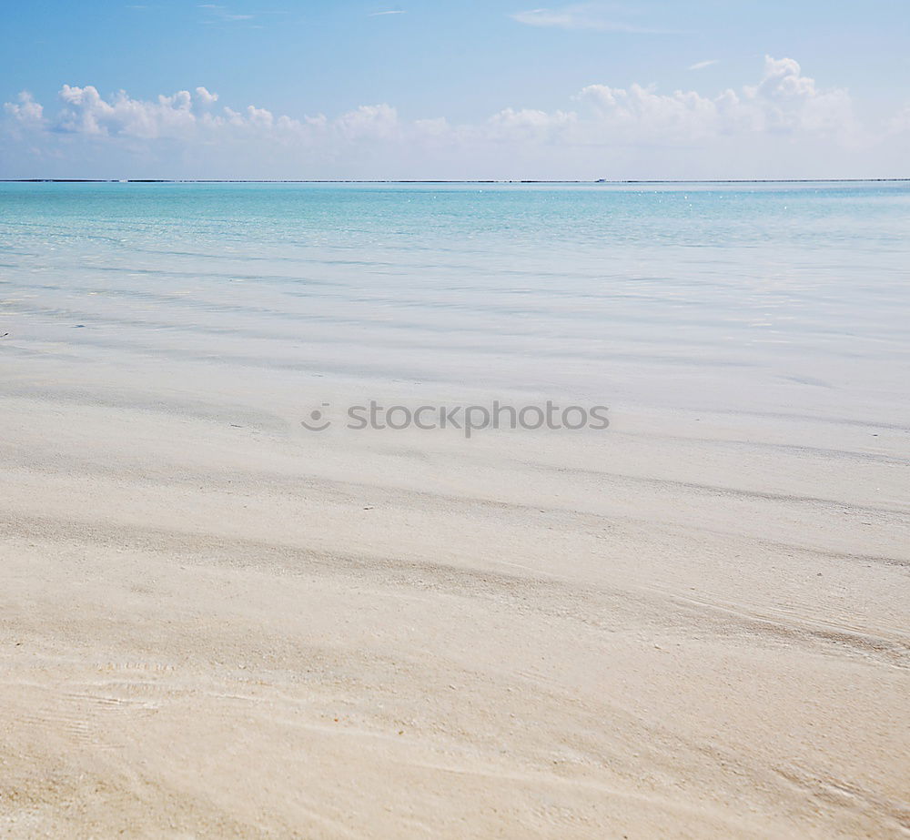 Similar – beach surfers Beach