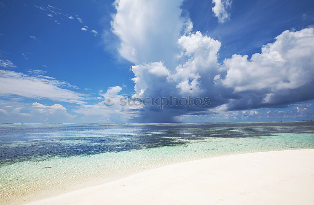 Similar – Image, Stock Photo la isla Beach Palm tree