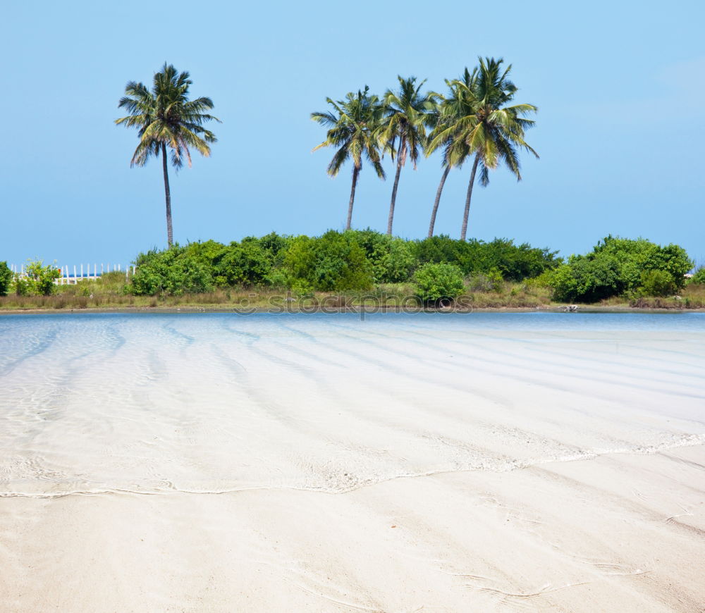 Similar – Diani Beach