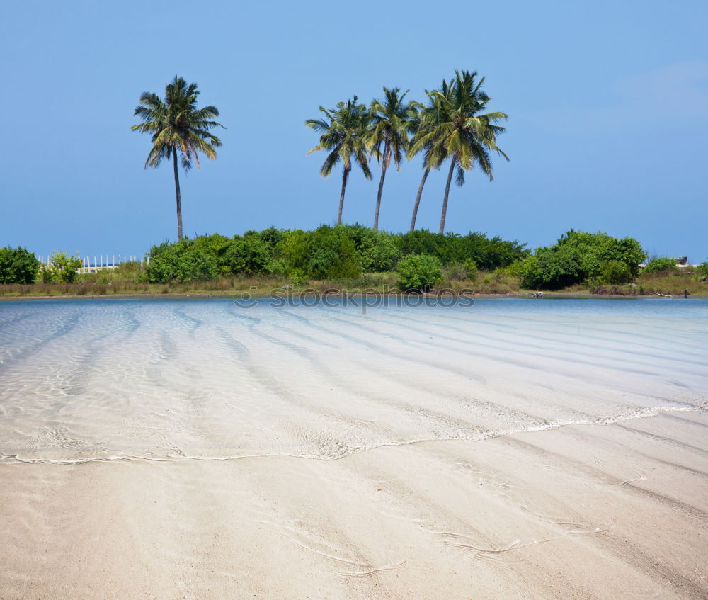 Similar – Diani Beach