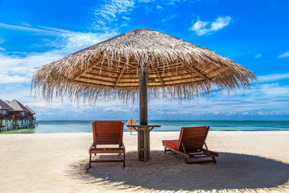 Similar – Maldives island luxury resort palm tree with hanging hammock