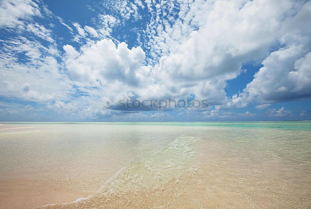 Similar – Image, Stock Photo Green Lagoon in Lencois Maranheses National Park, Brazil