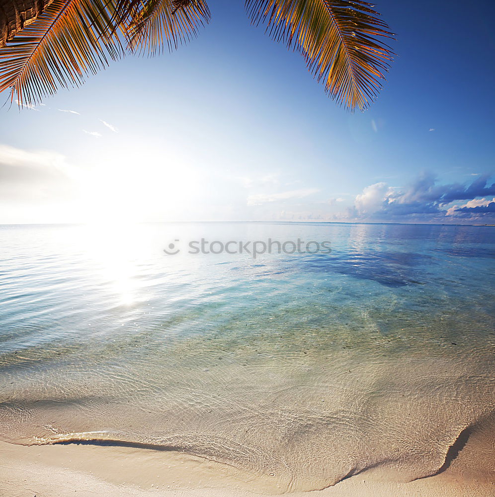 Similar – Saona Island near Punta Cana, Dominican Republic