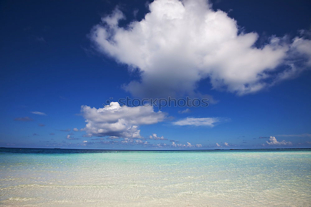 Similar – Image, Stock Photo la isla Beach Palm tree