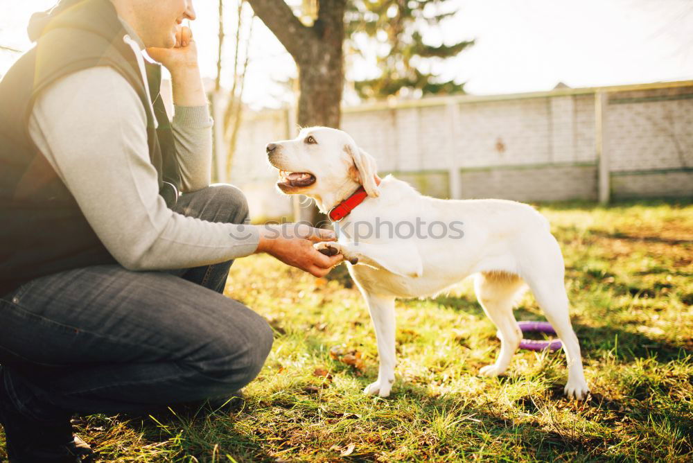 Similar – Cute puppy an his owner at the beach