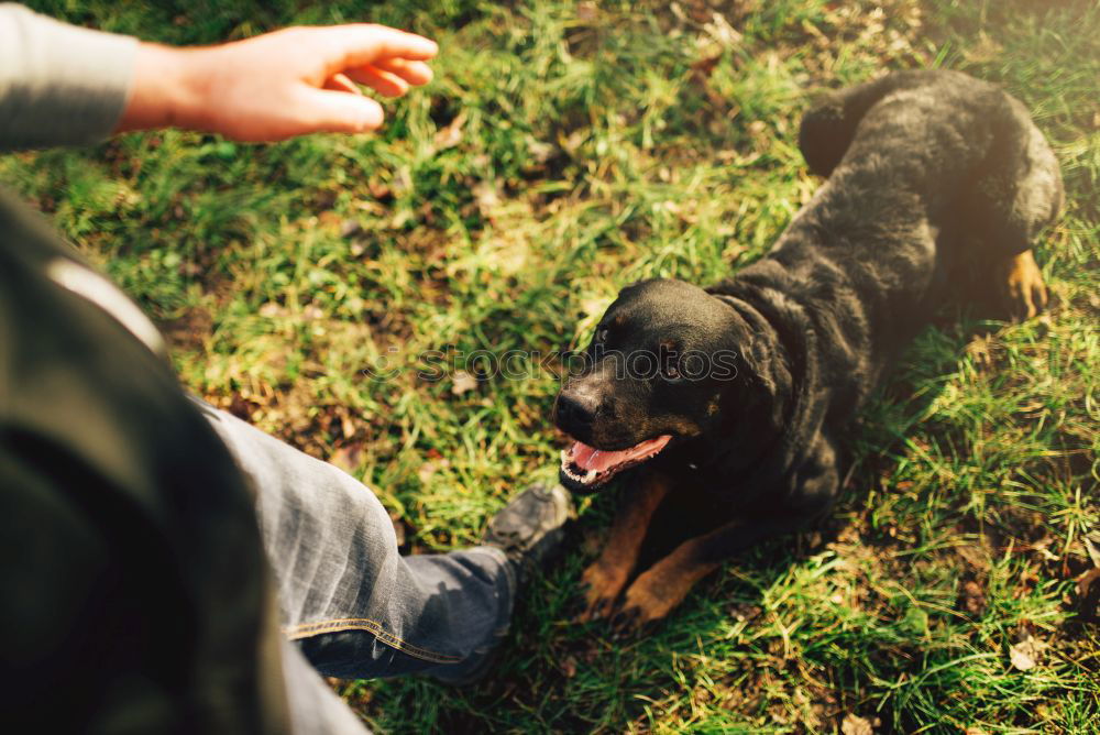 Similar – Foto Bild Der Hundmann. Seil Mann