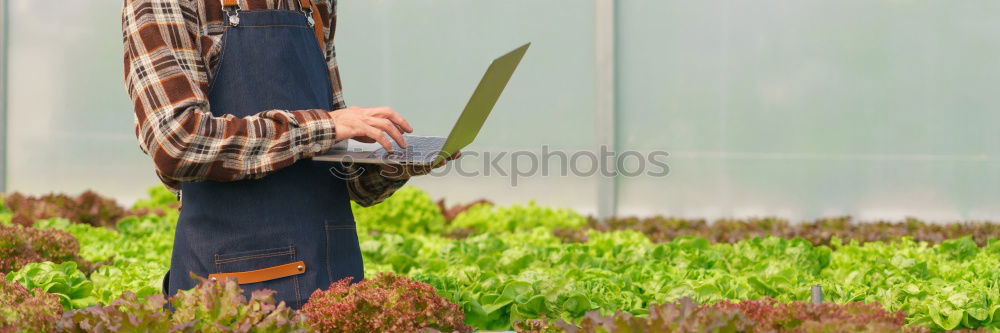 Similar – Image, Stock Photo Hoeing potatoes Summer