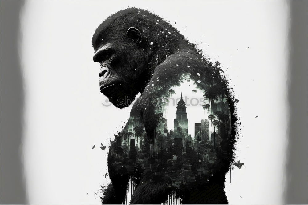 Image, Stock Photo King Kong’s alive! Gorilla